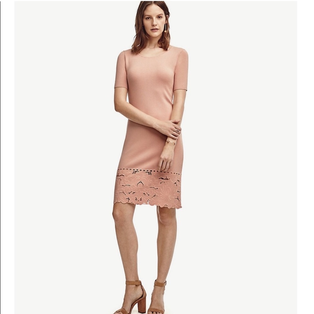 Ann Taylor Pink Lace Short Sleeve Sweater Dress